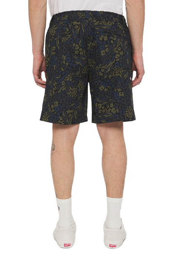 Saltville Shorts